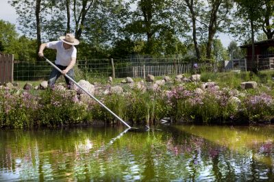 Create a Healthy Ecosystem with Pond Maintenance!