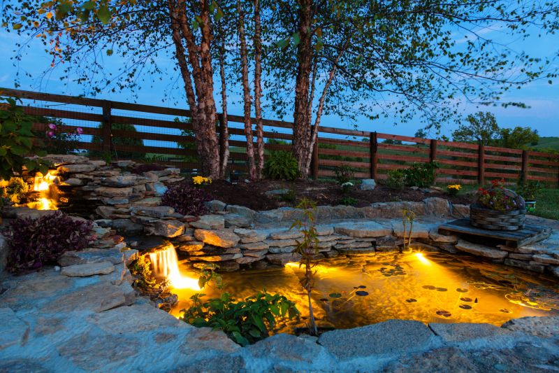 Pond Maintenance
