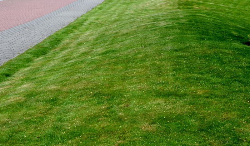 Cost of Pond Maintenance — Cost of Pond Maintenance