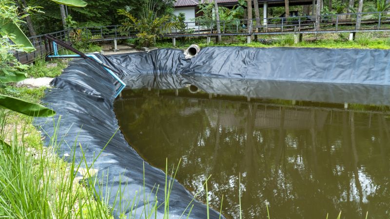 Fish Pond Installation in Honolulu, HI