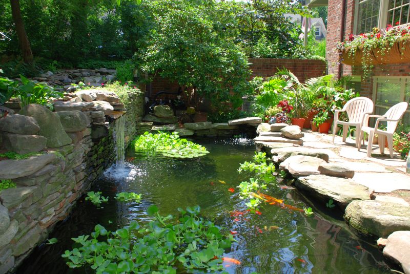 Fish Pond Installation in Honolulu, HI