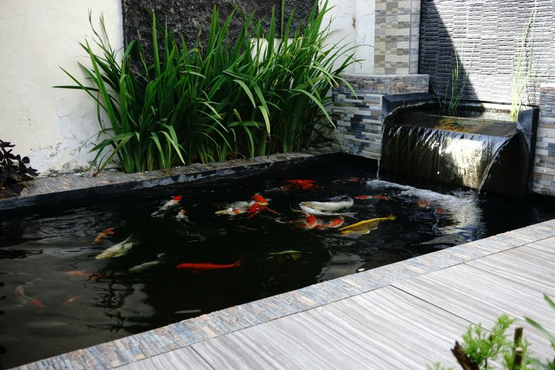 Koi Pond Installation in Ventura County, CA