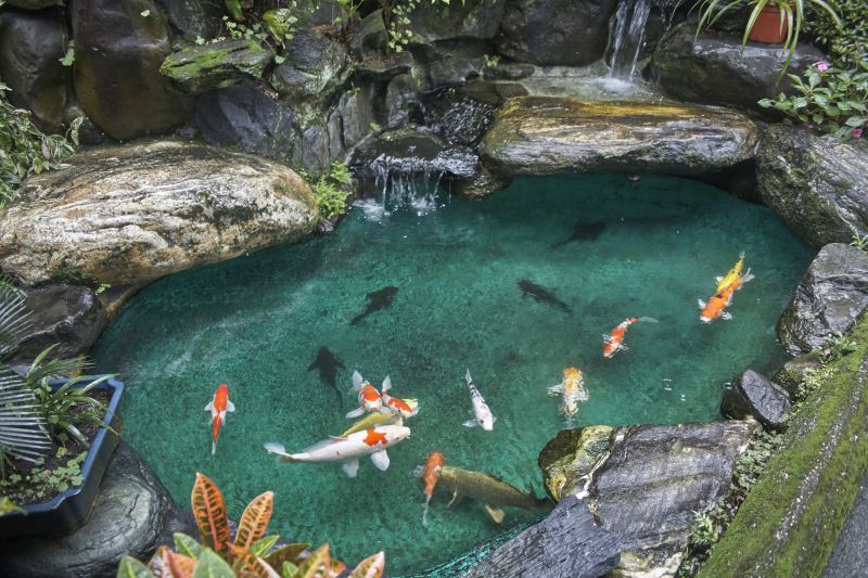 Koi Pond Installation in Honolulu, HI
