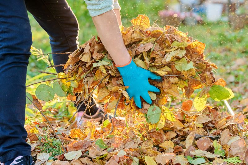 Fall Cleanup